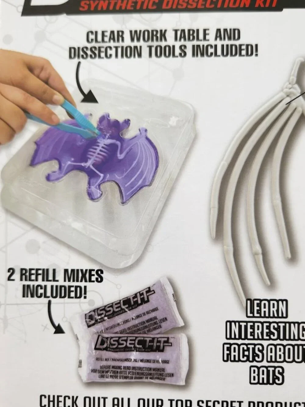 NEW Dissect-it Synthetic Lab Dissection Toy STEM KIT CRAFT Project Bat Biology A